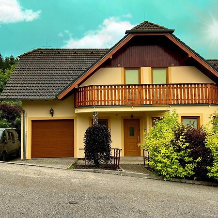 Villa Slupecna Lipno nad Vltavou Zewnętrze zdjęcie