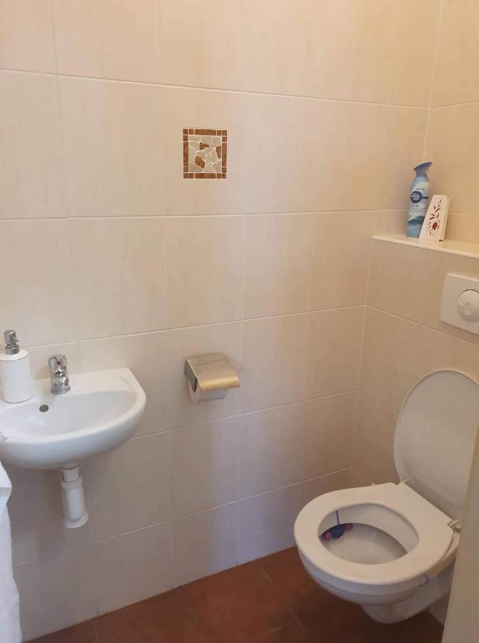 Villa Slupecna Lipno nad Vltavou Zewnętrze zdjęcie